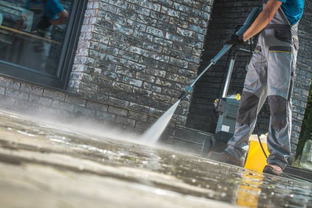 Best Animal Enclosure Cleaning  in Portland, MI