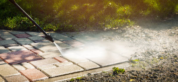 Best Graffiti Removal  in Portland, MI